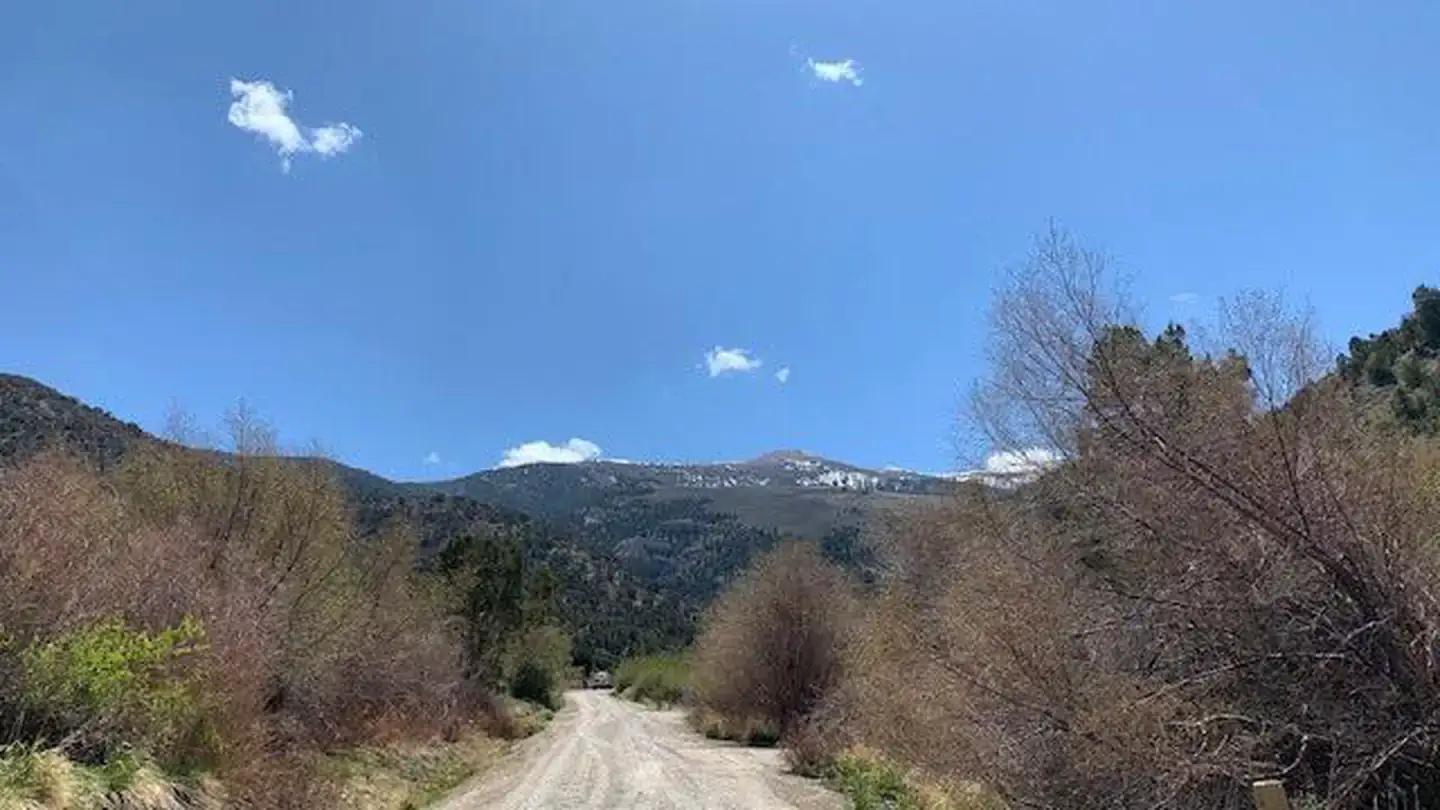 Camper-submitted photo at Bird Creek Campground near Ely, NV