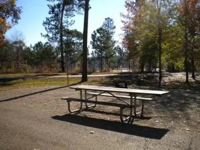 Camper-submitted photo at Beaver Dam Campground near Bienville, LA