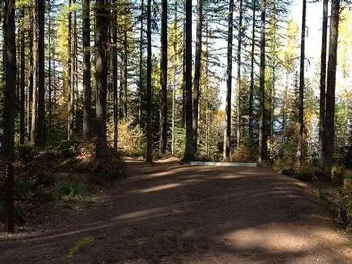 Camping near Glacier Haven RV and Campground: Lid Creek Campground, Martin City, Montana