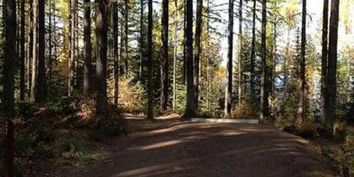 Camper submitted image from Lid Creek Campground