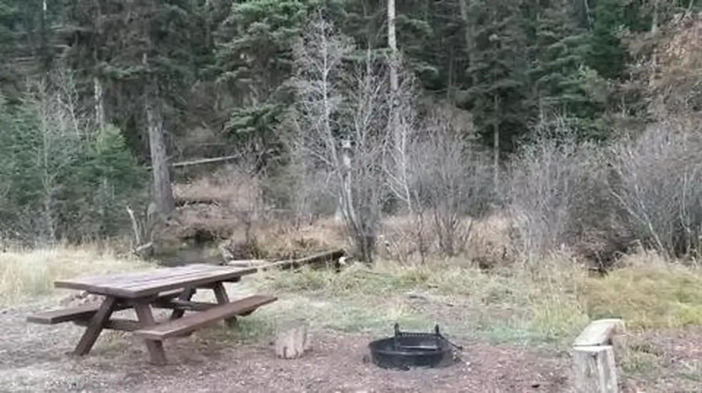 Camper-submitted photo at Cummings Cabin near Cascade, MT