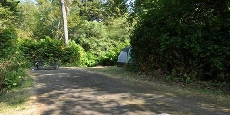 Camper submitted image from Alder Dune Campground