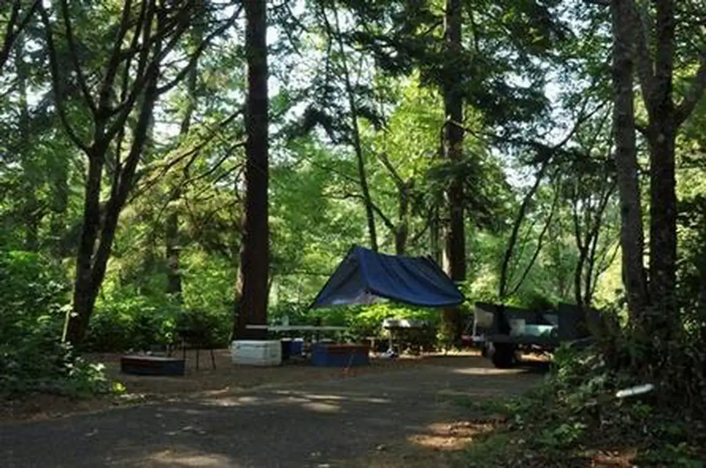 Camper-submitted photo at Alder Dune Campground near Florence, OR