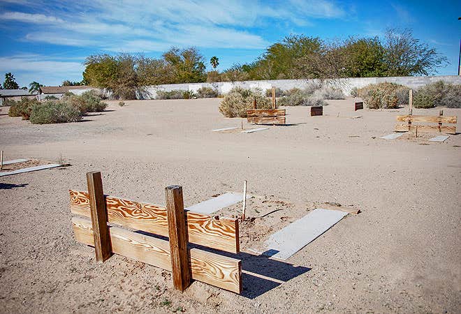 Camper-submitted photo at Encore Suni Sands near Winterhaven, CA
