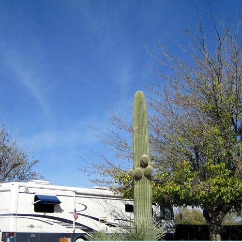 Camper-submitted photo at Encore Valley Vista near Benson, AZ