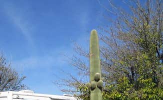 The Dyrt's photo of rv camping at Encore Valley Vista near Fort Huachuca, AZ