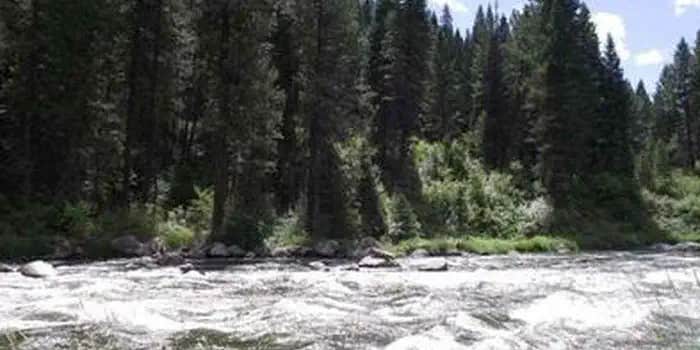 Camper submitted image from Cold Springs Campground - Boise Nf (ID)