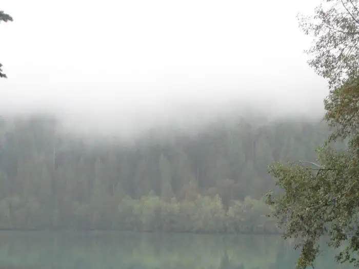 Camper submitted image from Horseshoe Cove Campground - 1