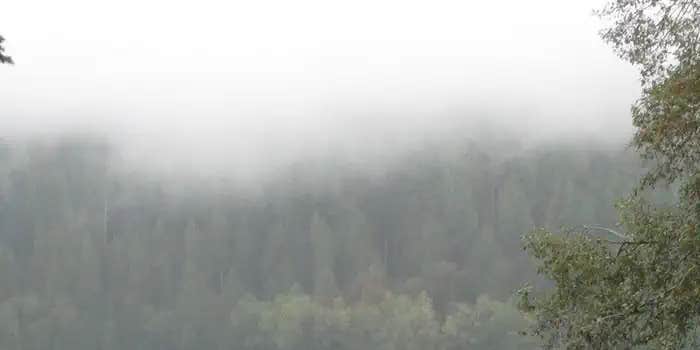 Camper submitted image from Horseshoe Cove Campground