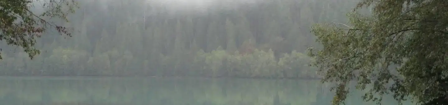 Camper-submitted photo at Horseshoe Cove Campground near Maple Falls, WA