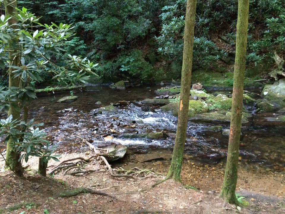 Camper submitted image from Stone Mountain Park Campground - 5