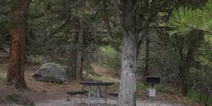 Camper submitted image from Mahogany Cove Campground