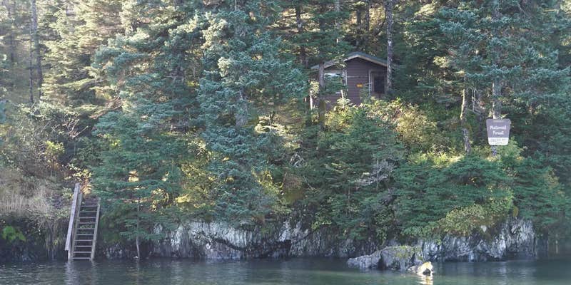 Camper submitted image from Paulson Bay Cabin