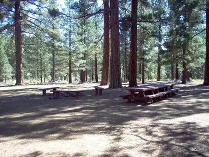 Camping near Tahoe National Forest Boca Campground: Tahoe National Forest Boca Spring Campground, Floriston, California