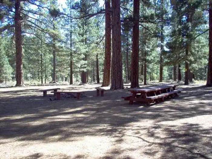 Camper submitted image from Tahoe National Forest Boca Spring Campground - 1