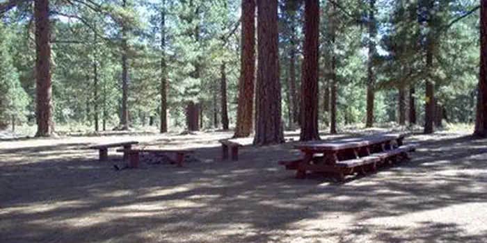 Camper submitted image from Tahoe National Forest Boca Spring Campground