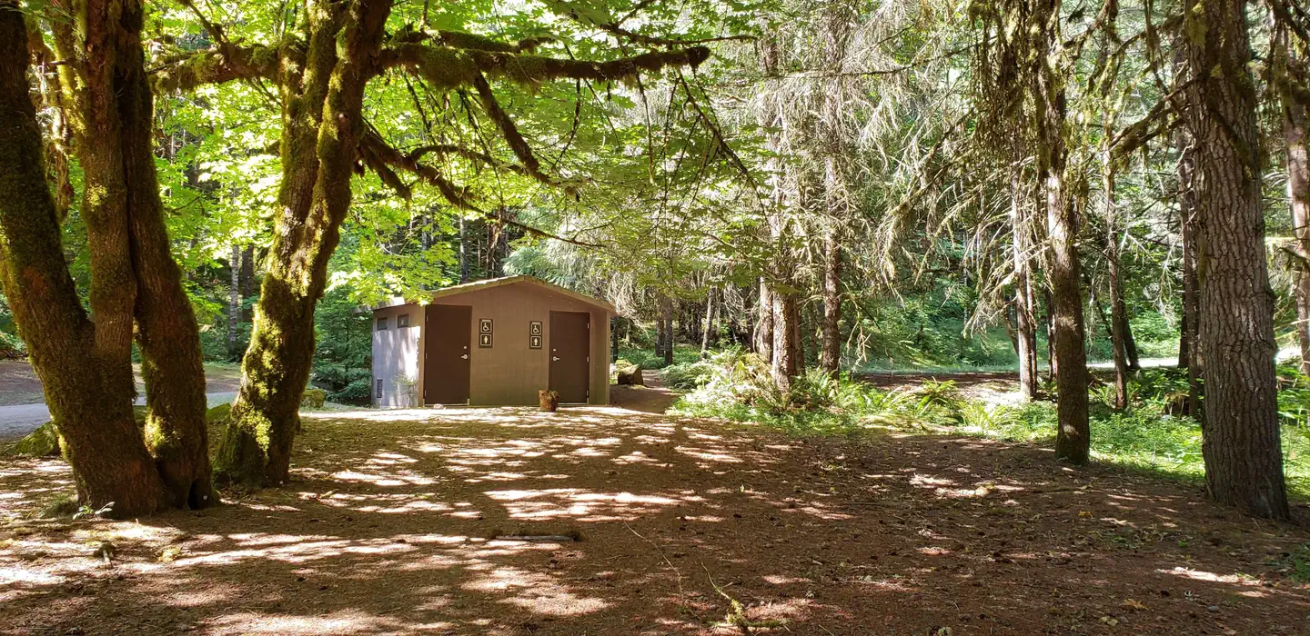 Camper-submitted photo at Umpqua National Forest Steamboat Ball Field and Pavillion Group Site near Clearwater, OR