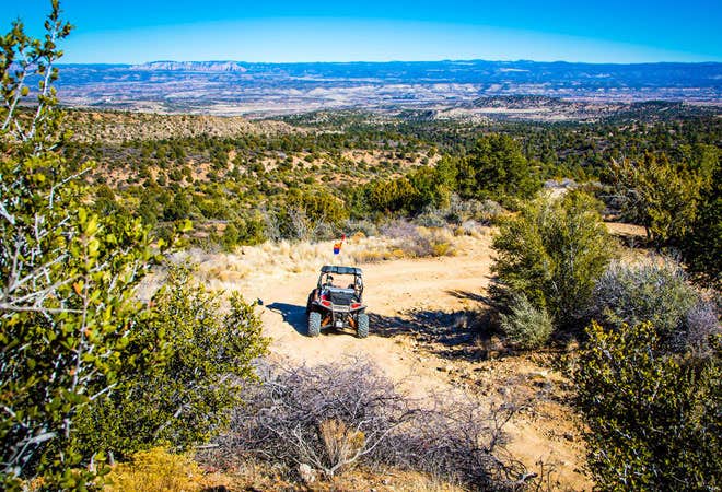 Camper submitted image from Thousand Trails Verde Valley - 3