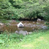 Review photo of Laurel Fork Campground by Dave V., September 26, 2016