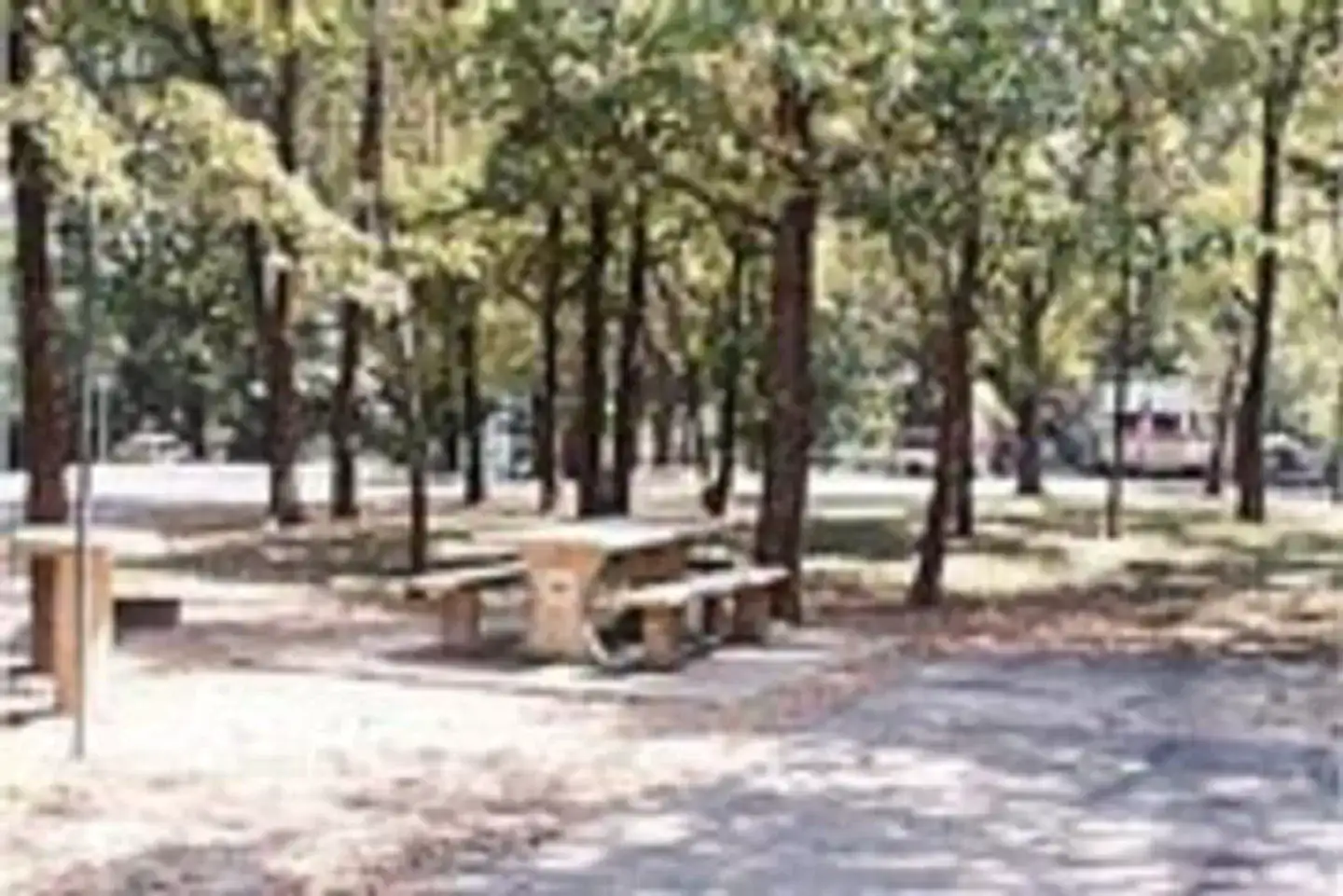 Camper-submitted photo at Gamaliel near Elizabeth, AR