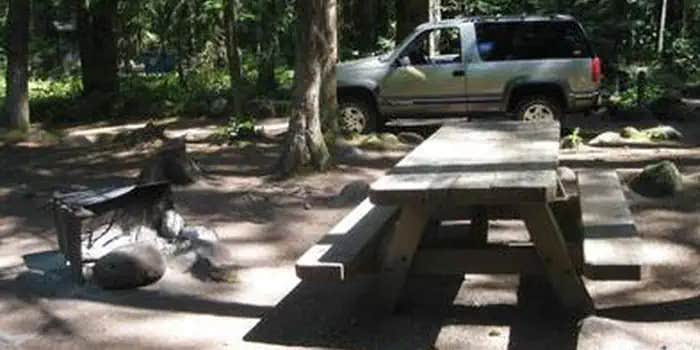 Camper submitted image from Mount Hood National Forest Tollgate Campground