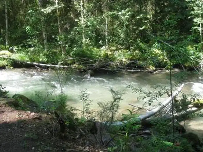 Camper-submitted photo at Mount Hood National Forest Tollgate Campground near Brightwood, OR