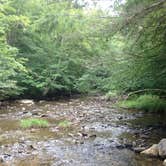 Review photo of Laurel Fork Campground by Dave V., September 26, 2016