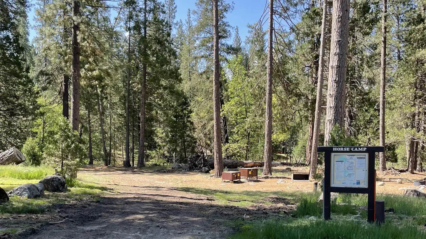 Camper submitted image from Wawona Horse Campsites — Yosemite National Park - 1