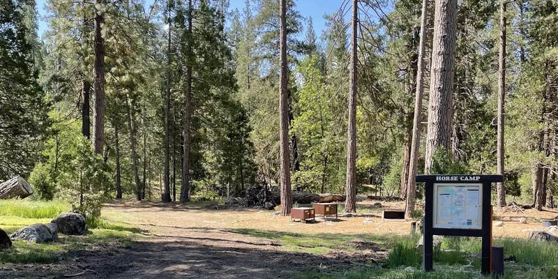 Camper submitted image from Wawona Horse Campsites — Yosemite National Park