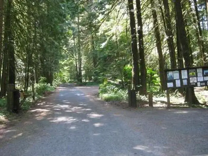 Camper-submitted photo at Mount Hood National Forest Tollgate Campground near Brightwood, OR
