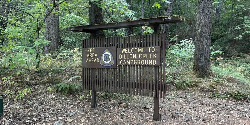 Camper submitted image from Dillon Creek Campground