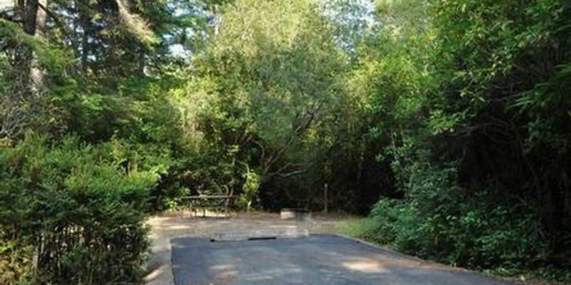 Camper submitted image from Sutton Campground