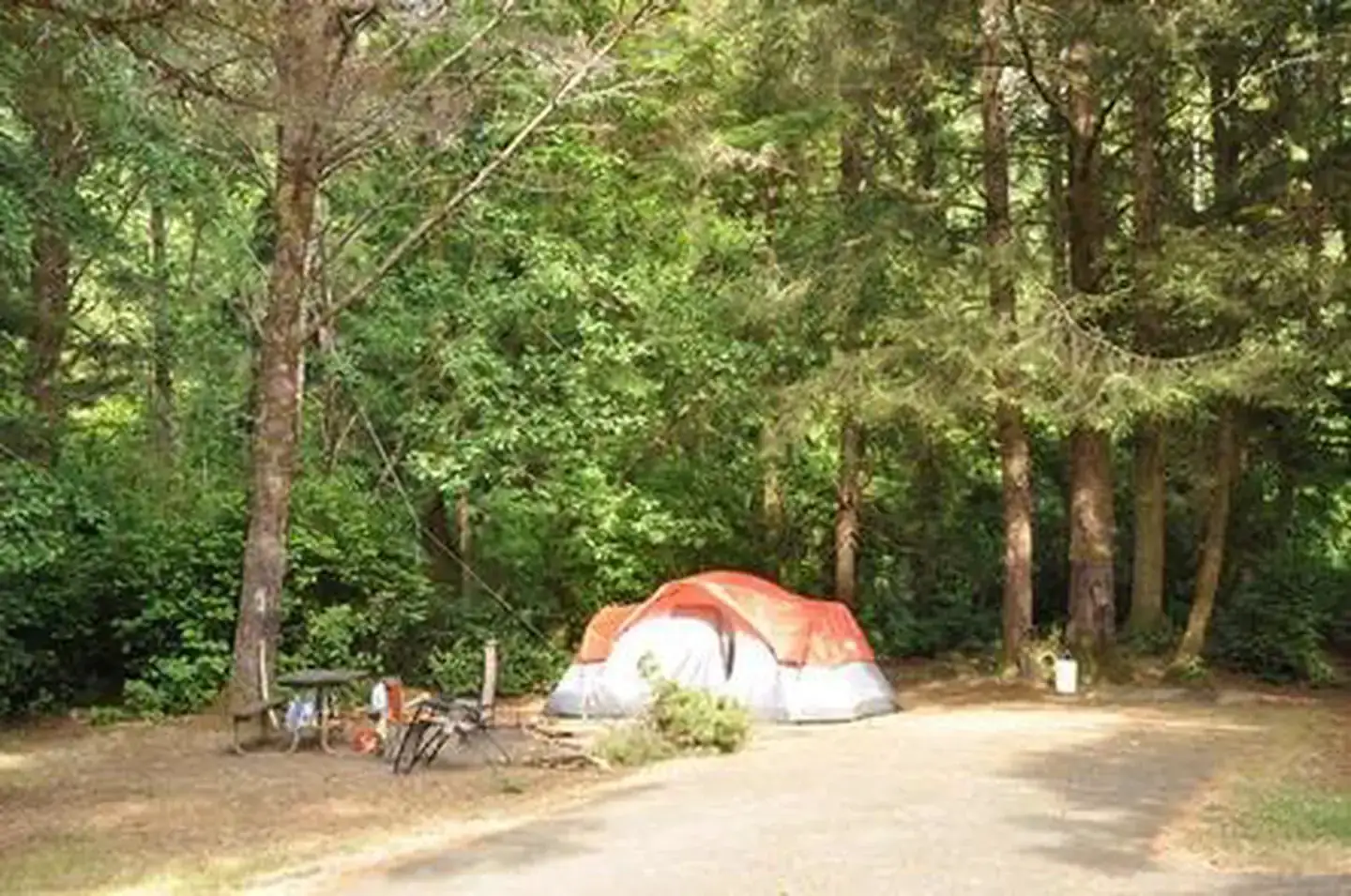 Camper-submitted photo at Sutton Campground near Florence, OR