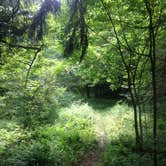 Review photo of Laurel Fork Campground by Dave V., September 26, 2016