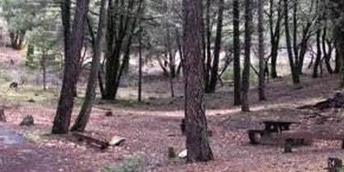 Camper submitted image from Hayden Flat Campground