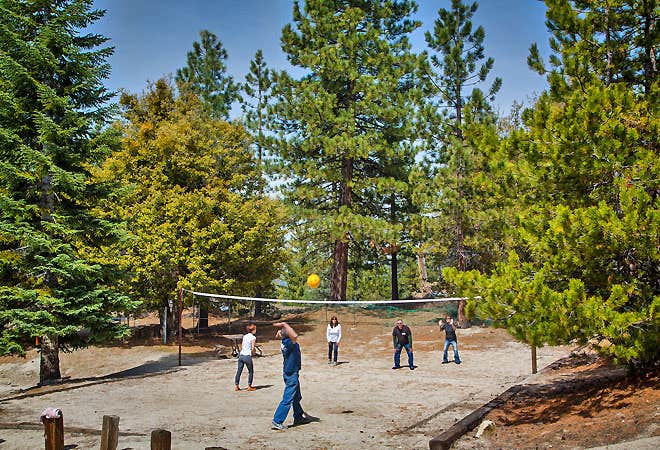 Camper submitted image from Thousand Trails Idyllwild - 2
