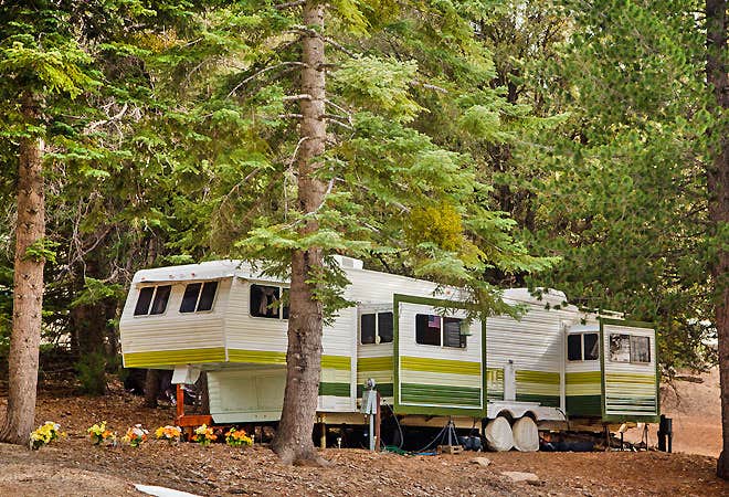 Camper submitted image from Thousand Trails Idyllwild - 3