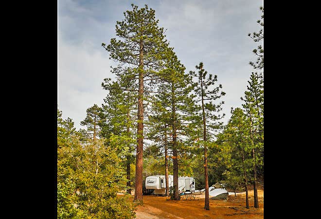 Camper submitted image from Thousand Trails Idyllwild - 2