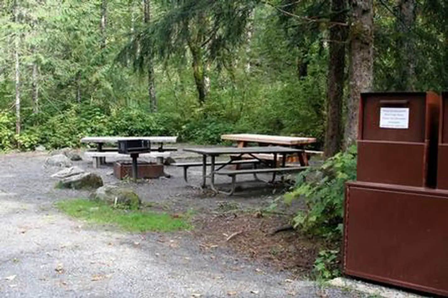 Camper submitted image from Beaver Creek Group Camp (mt. Baker-snoqualmie National Forest, Wa) - 1