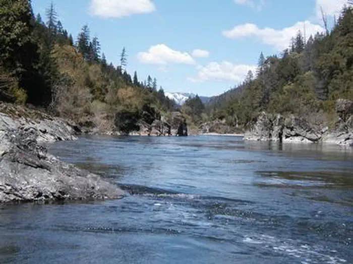 Camper submitted image from Tree Of Heaven Campground - 1