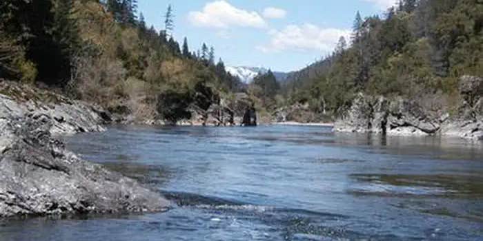 Camper submitted image from Tree Of Heaven Campground