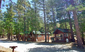 The Dyrt's photo of glamping accommodations at Thousand Trails Idyllwild near Running Springs, CA