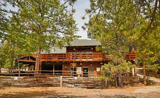 The Dyrt's photo of a cabin at Thousand Trails Idyllwild near Anza, CA