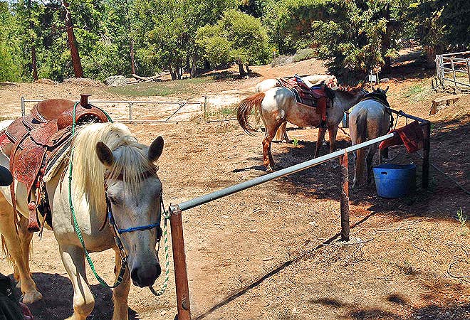 Camper-submitted photo at Thousand Trails Idyllwild near Palm Springs, CA