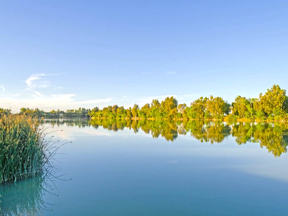 Camper-submitted photo at Thousand Trails Lake Minden near Rancho Cordova, CA