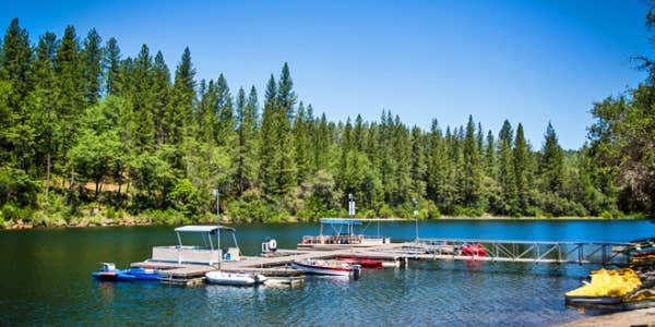 Camper submitted image from Thousand Trails Lake of the Springs