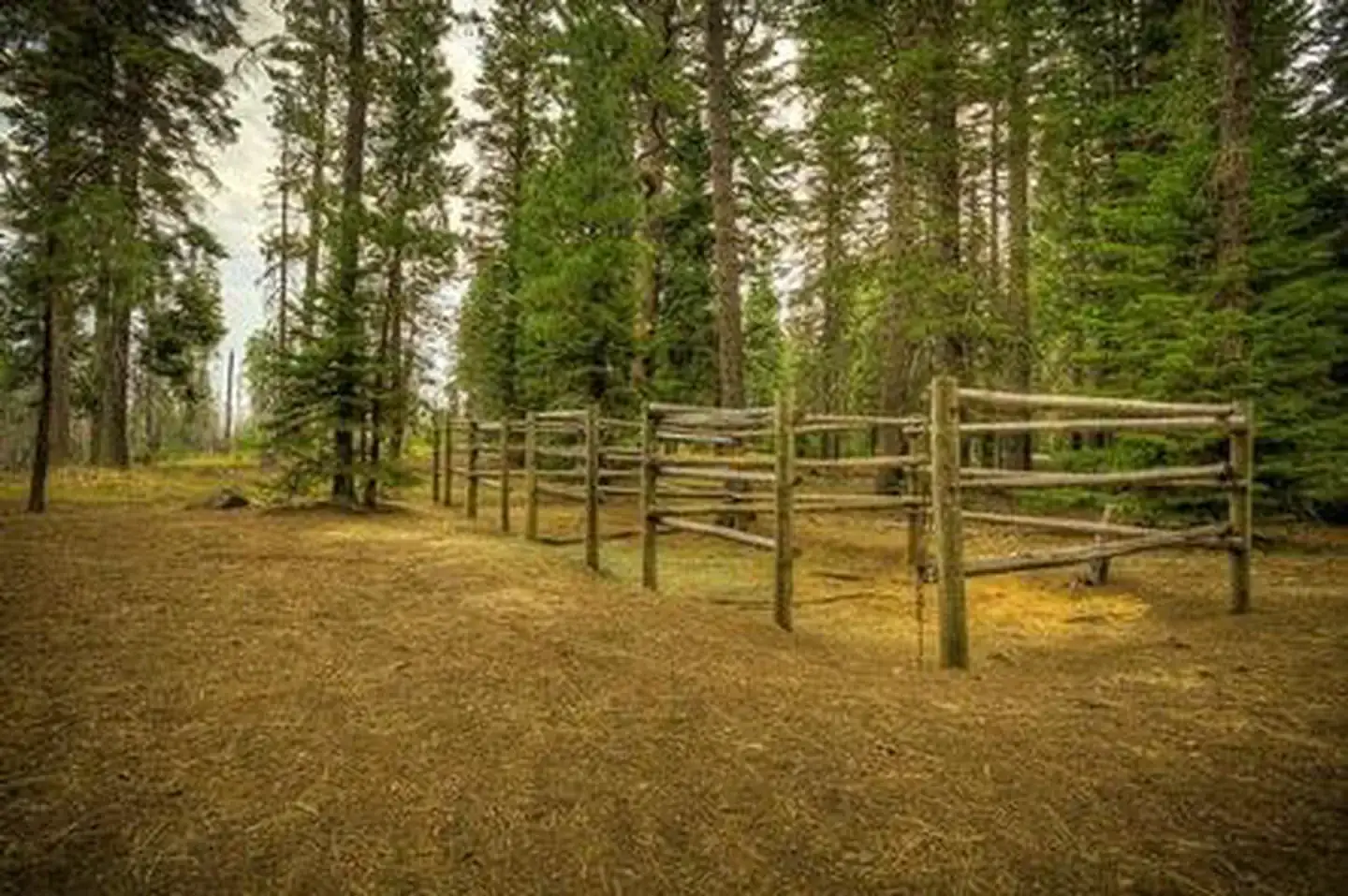 Camper-submitted photo at Whispering Pine Horse Camp near Albany, OR