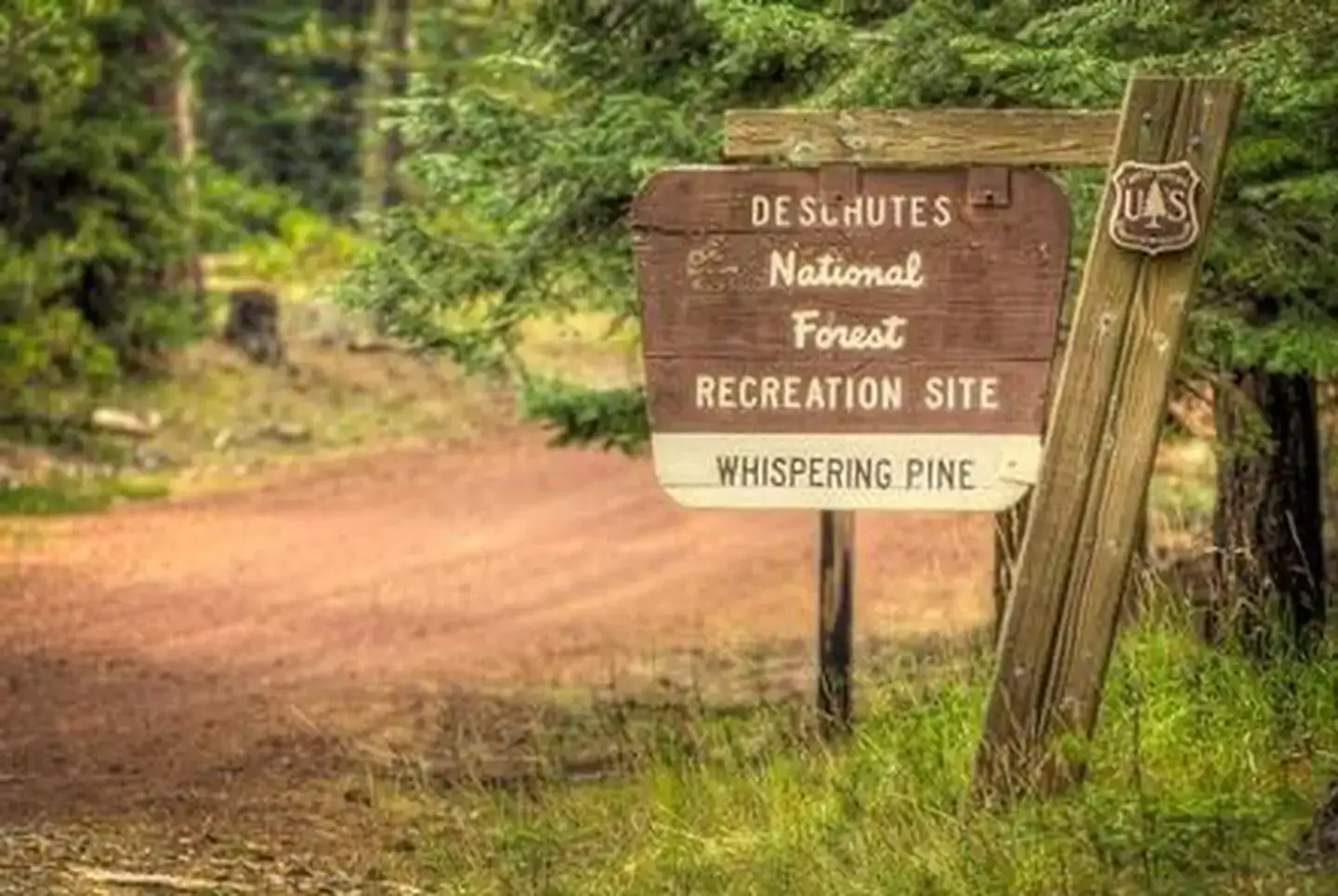 Camper-submitted photo at Whispering Pine Horse Camp near Albany, OR