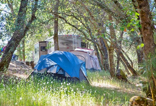 Camper submitted image from Thousand Trails Lake of the Springs - 4