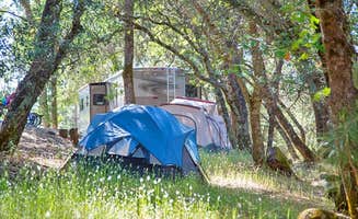 The Dyrt's photo at Thousand Trails Lake of the Springs near Gridley, CA